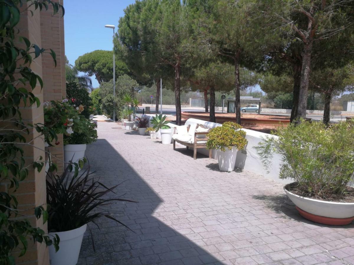 Hotel Marisma Sancti Petri Chiclana de la Frontera Kültér fotó