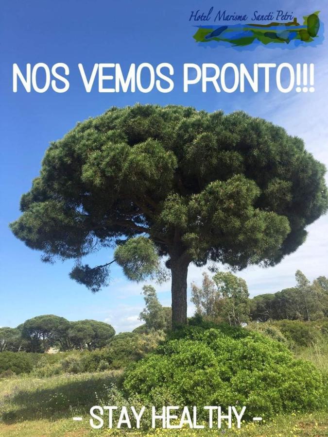 Hotel Marisma Sancti Petri Chiclana de la Frontera Kültér fotó